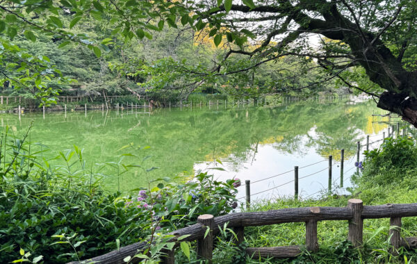 胃之頭公園